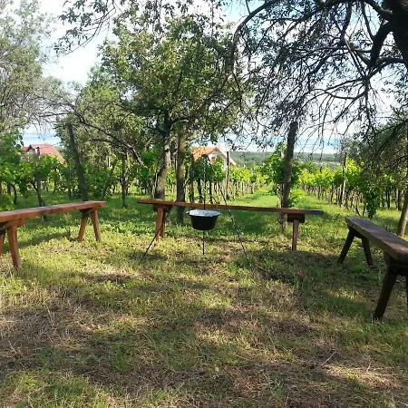 Traditional At Balaton Casa de Férias