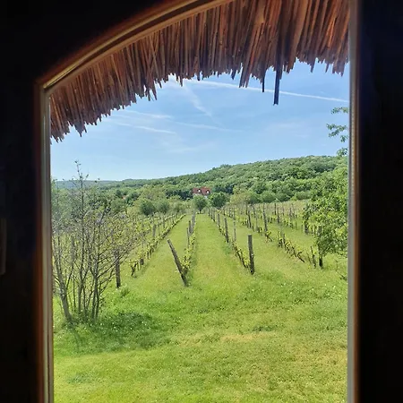 度假居 Traditional At Balaton *