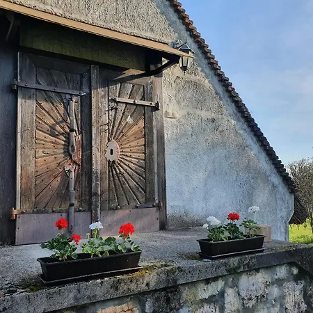 Traditional At Balaton *