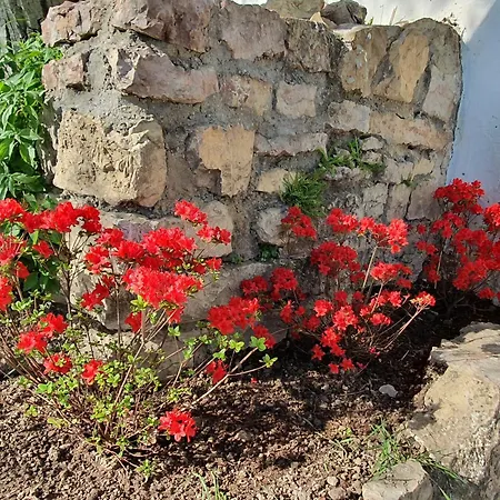 Traditional At Balaton 度假居 Vászoly