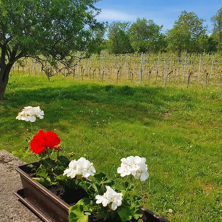 Traditional At Balaton 度假居