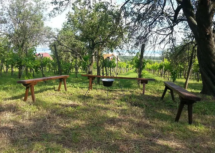 Traditional At Balaton Holiday home