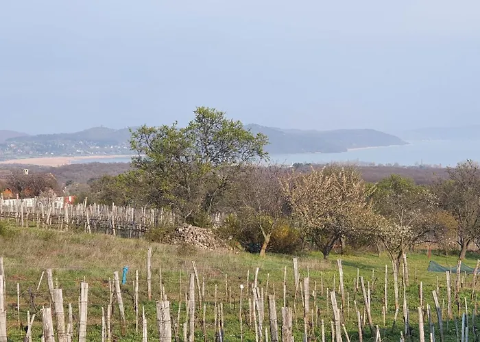 Σπίτι διακοπών Traditional At Balaton
