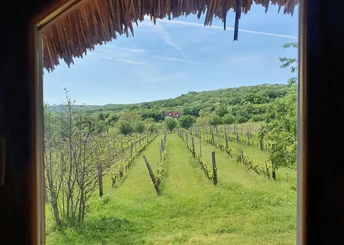 Σπίτι διακοπών Traditional At Balaton *