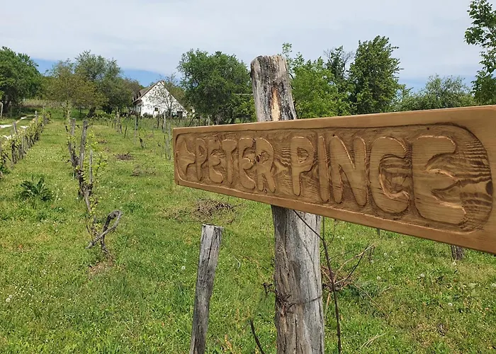 Traditional At Balaton Holiday home *