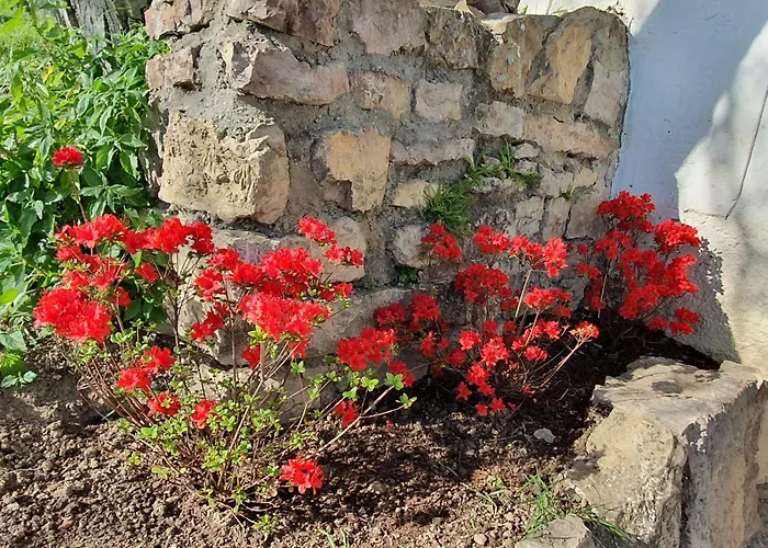 Traditional At Balaton Holiday home Vaszoly