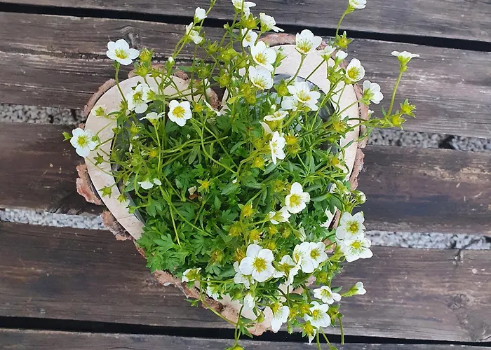 Σπίτι διακοπών Traditional At Balaton Vászoly