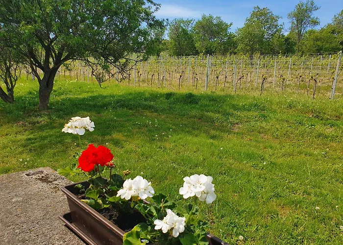 Traditional At Balaton Holiday home